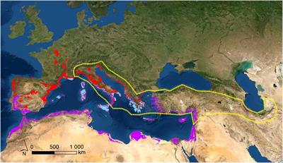 Vicariance Between Cercis siliquastrum L. and Ceratonia siliqua L. Unveiled by the Physical–Chemical Properties of the Leaves’ Epicuticular Waxes